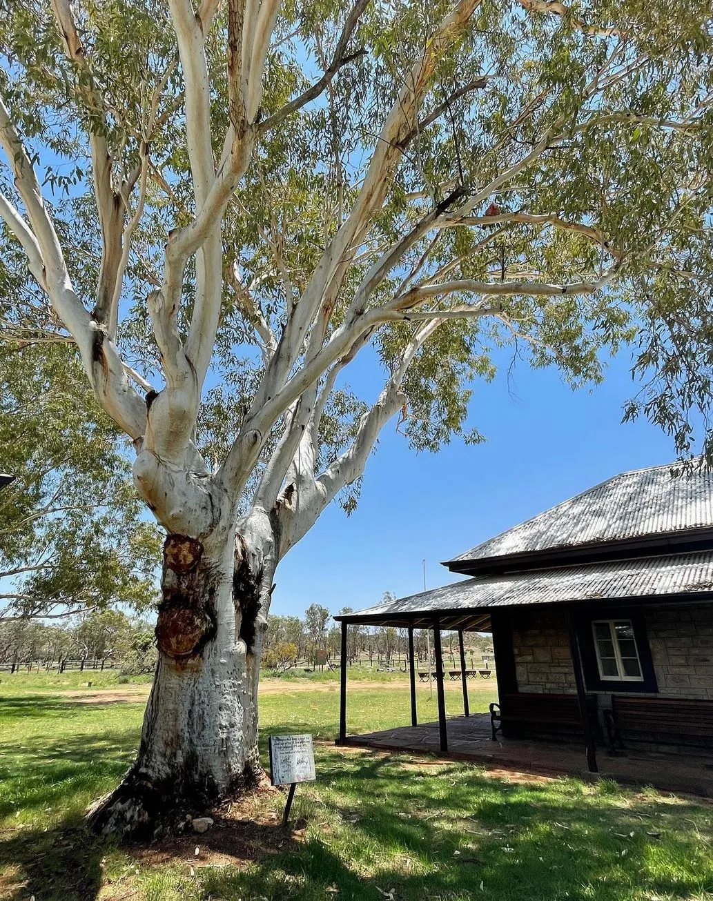 Permaculture and Sanity | How Can I Spend a Day in Alice Springs? Alice Springs Telegraph Station