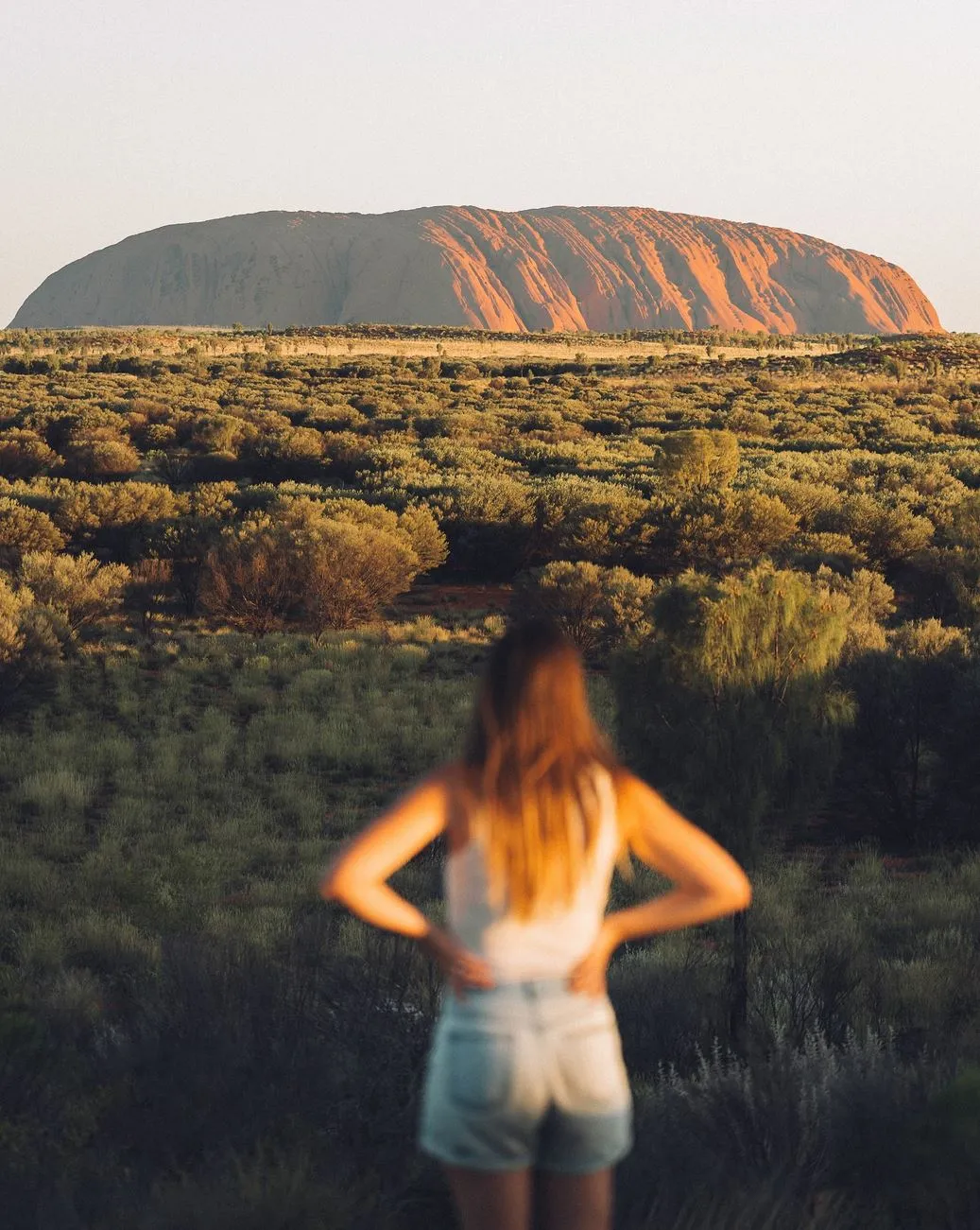 Permaculture and Sanity | How far is Kings Canyon from Uluru? Distance Between Canyon and Uluru