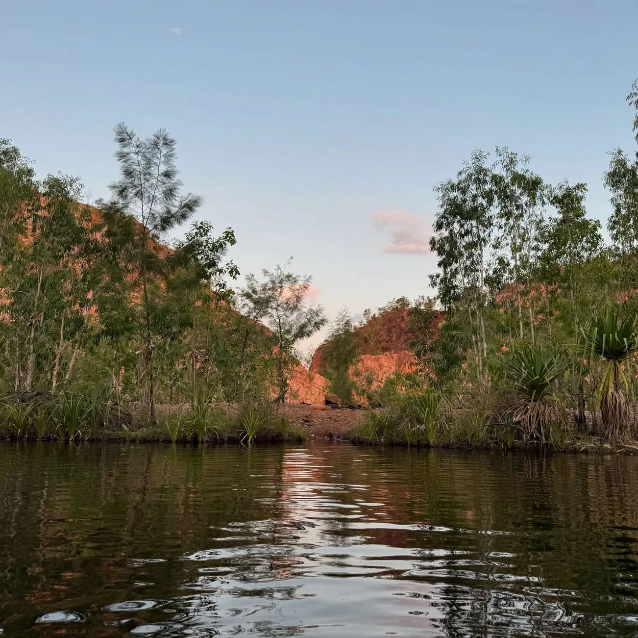 Permaculture and Sanity | Can You Swim in Nitmiluk National Park? Katherine Gorge
