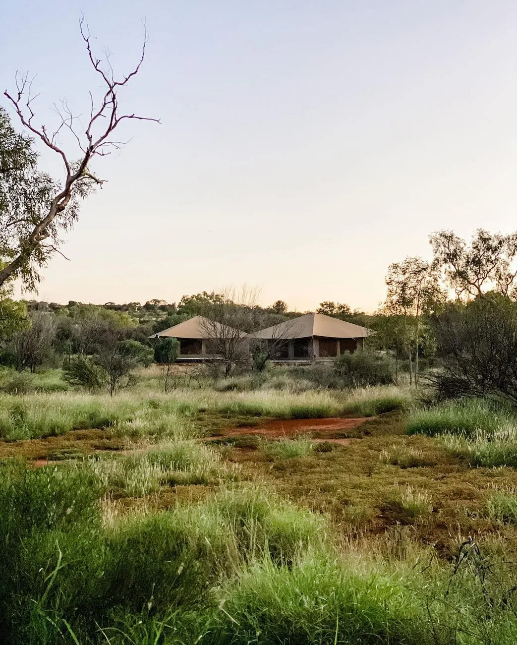 Permaculture and Sanity | How far is Kings Canyon from Uluru? Kings Canyon Resort