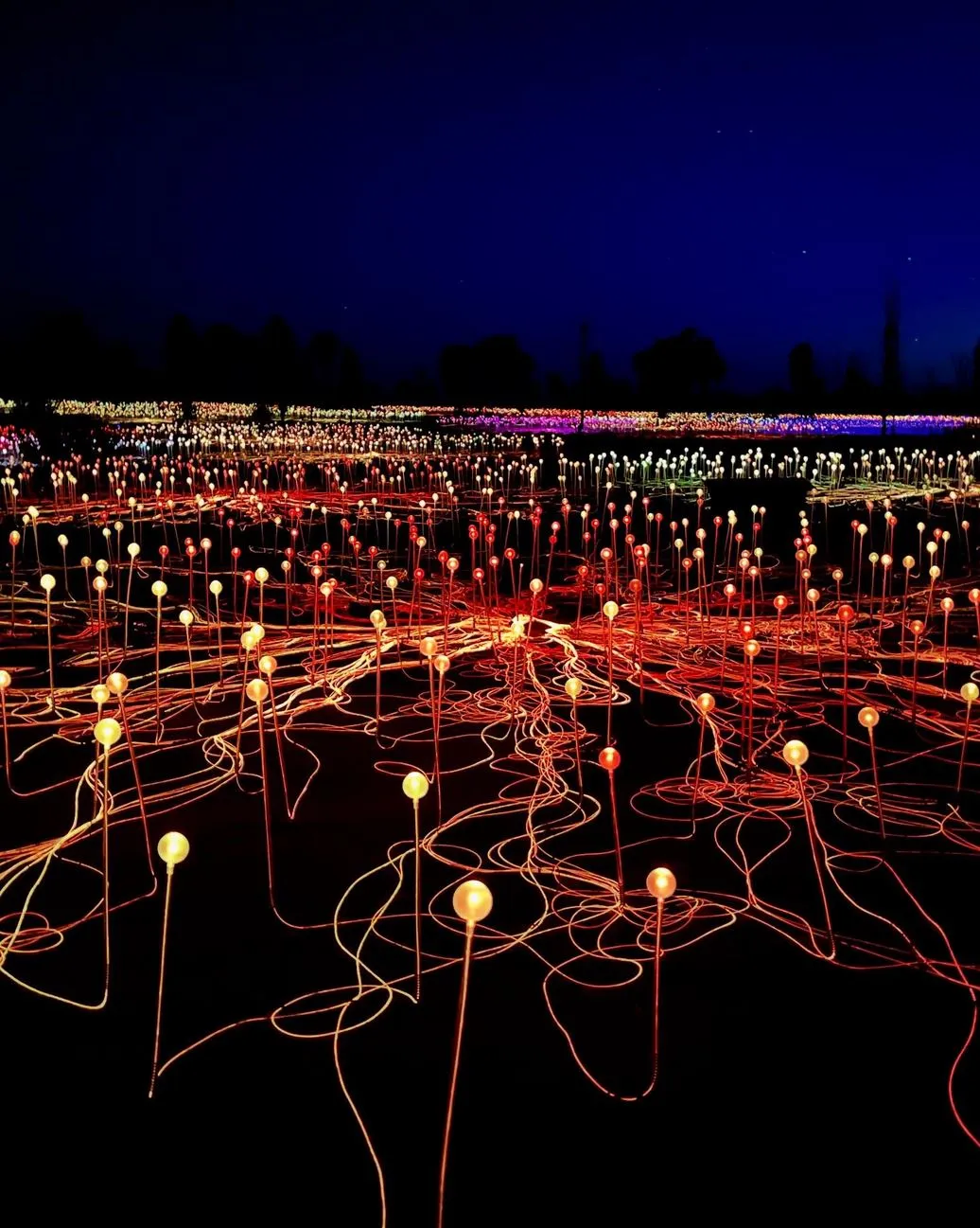 Permaculture and Sanity | Is 3 days enough in Uluru? Light Bruce Munro Uluru