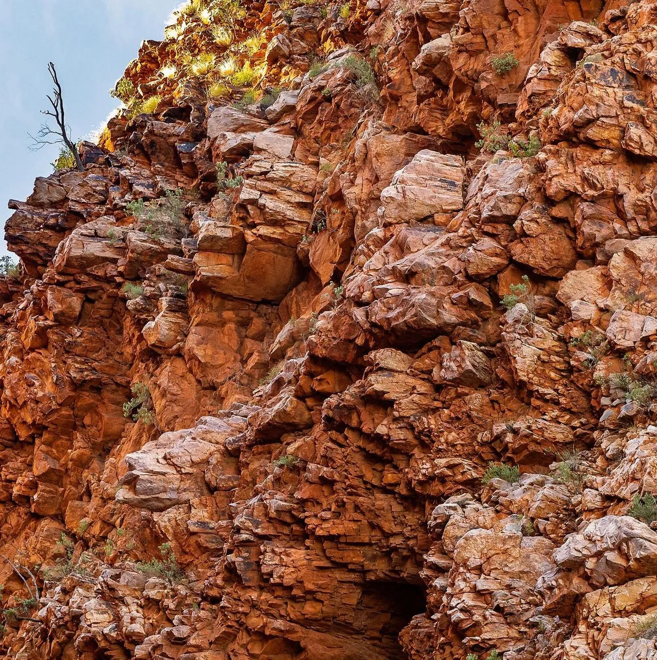 Permaculture and Sanity | How Can I Spend a Day in Alice Springs? MacDonnell Ranges
