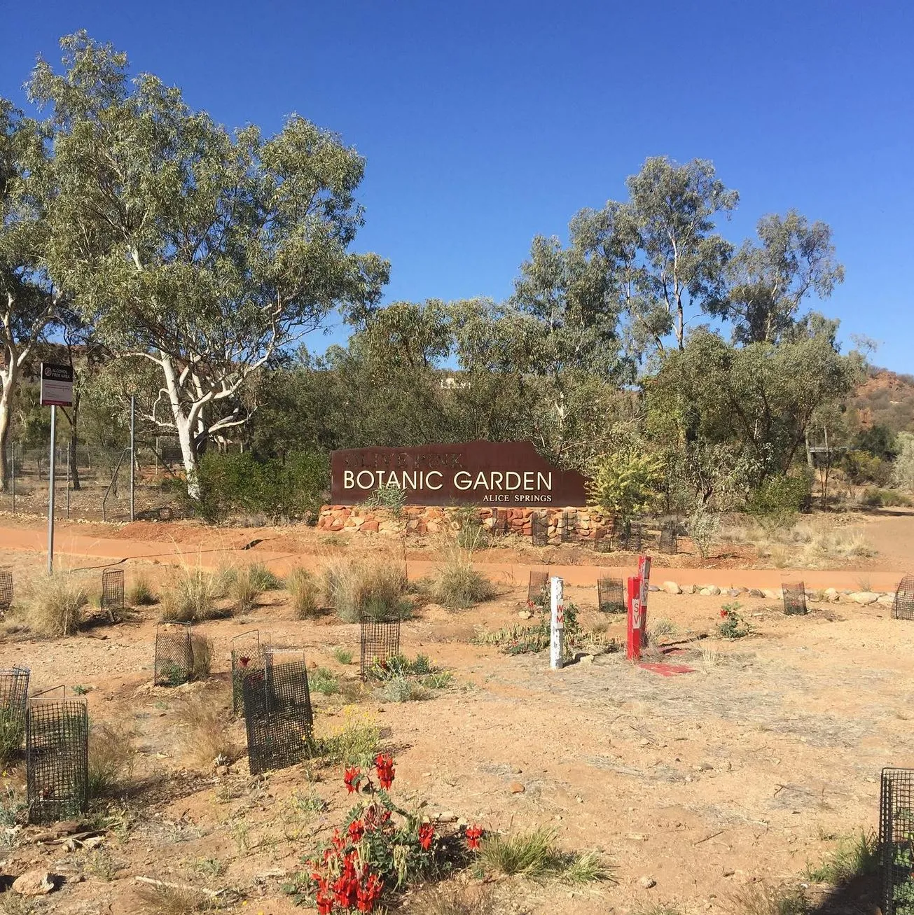 Permaculture and Sanity | How Can I Spend a Day in Alice Springs? Olive Pink Botanic Garden
