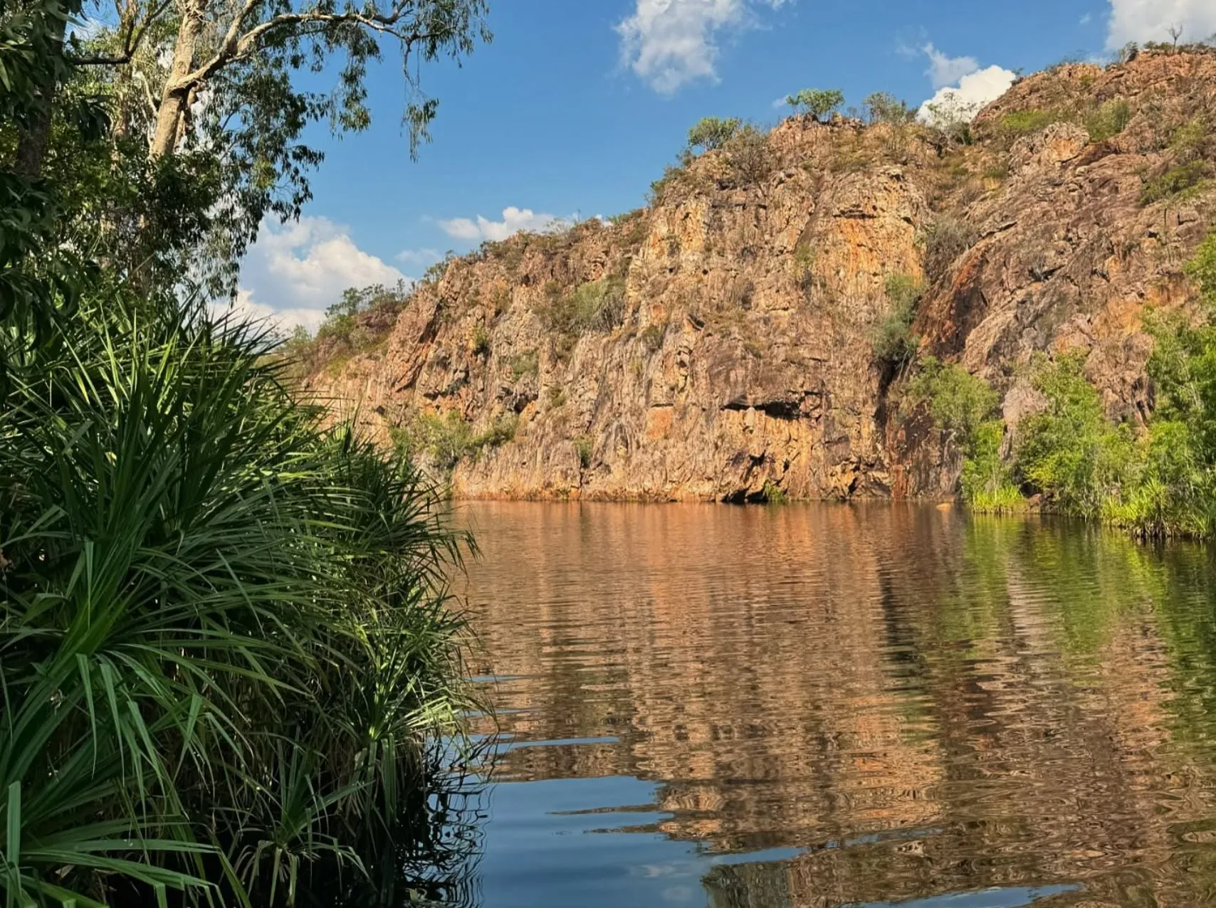 Permaculture and Sanity | Can You Swim in Nitmiluk National Park? Sweetwater Pool