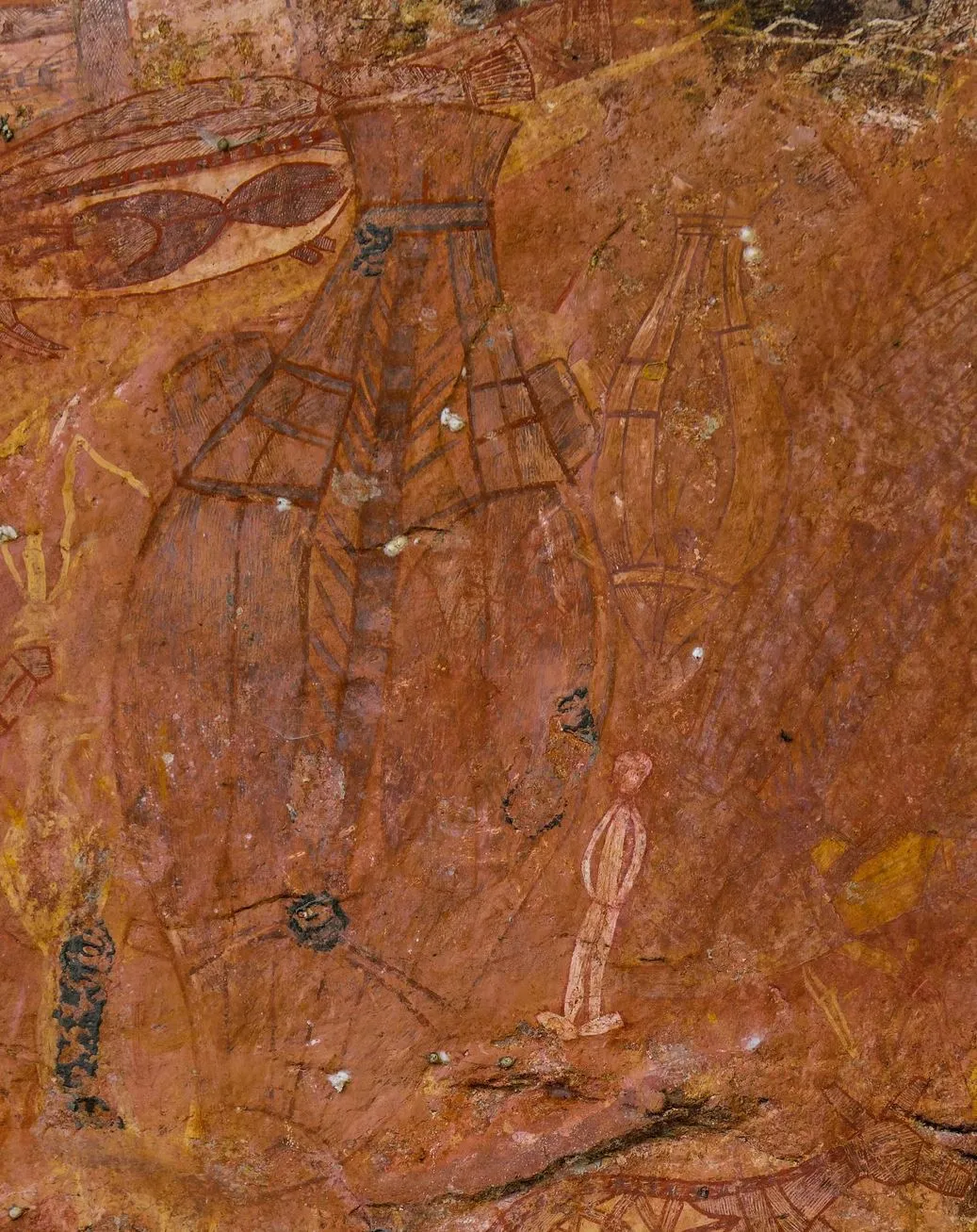 Permaculture and Sanity | When Was Kakadu National Park Discovered? Ubirr Rock Art