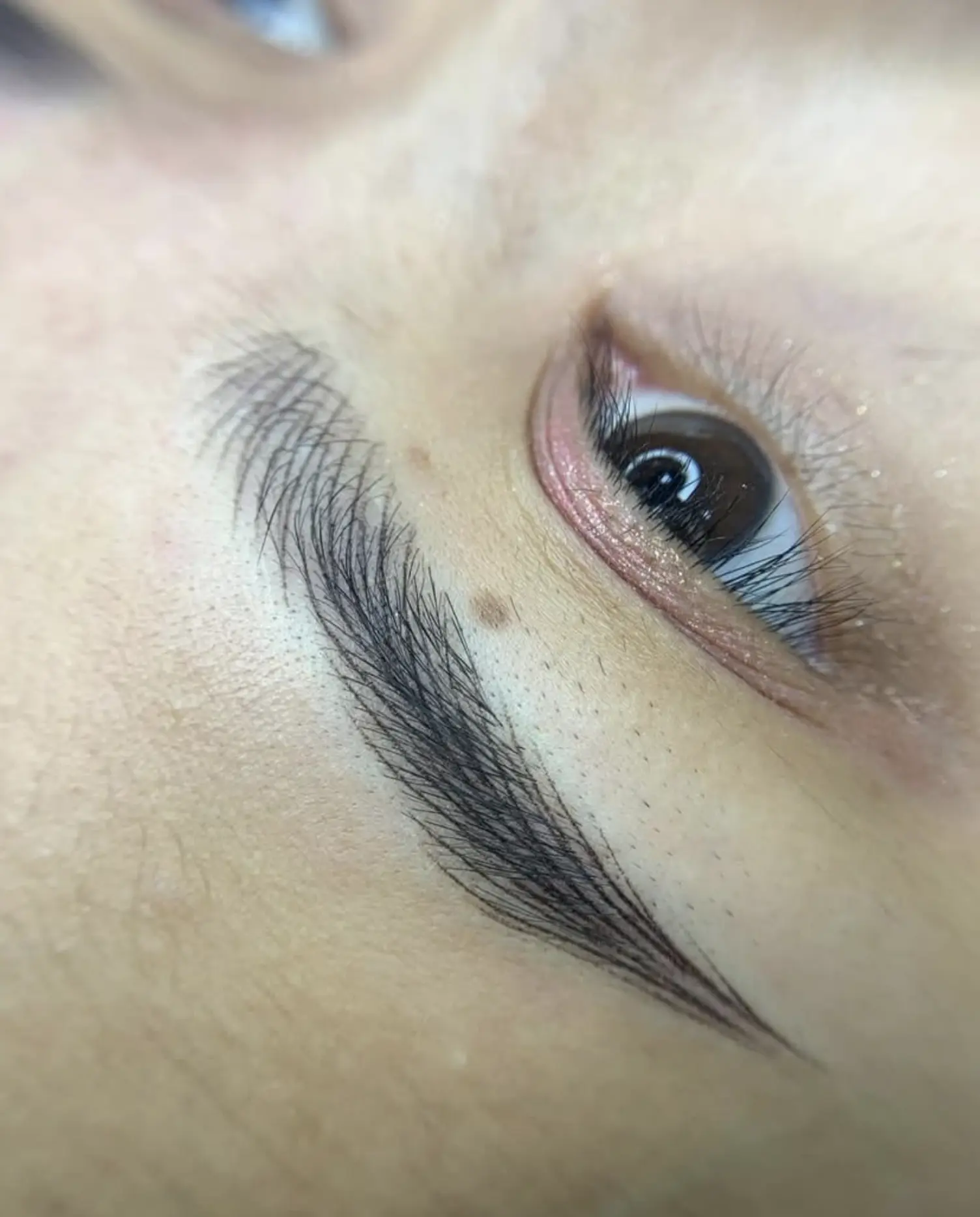Permaculture and Sanity | Do You Need to Shave Your Eyebrows for Nano Brows? nano brows Melbourne